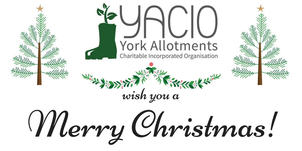 York Allotments YACIO Merry Christmas