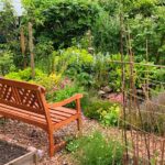 bench and allotment pond with growing produce