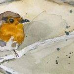 Illustration of a robin © Helen Butt 2023