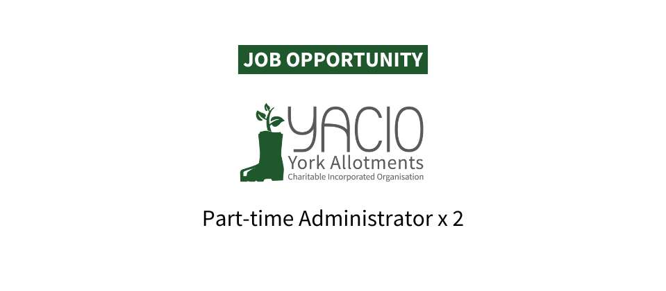 YACIO Part time Administrator - apply now