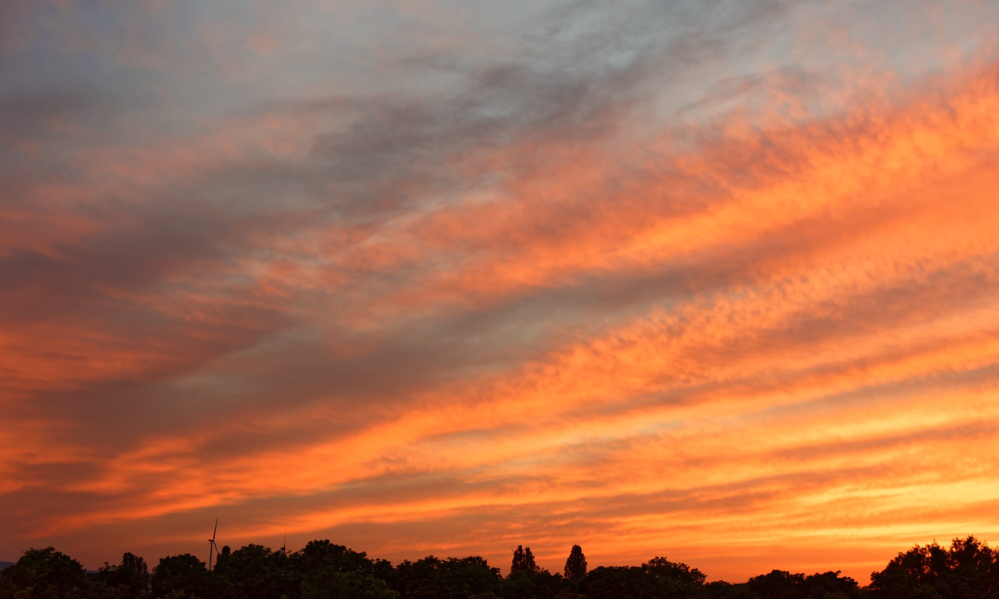 Sunset over allotments in York